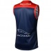 Melbourne Demons Mens Clash Guernsey 2022