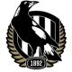 Collingwood Magpies