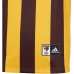 Hawthorn Hawks 2020 Mens Home Guernsey