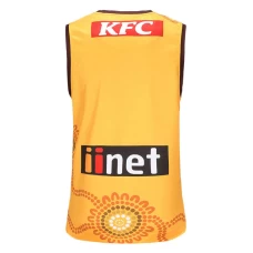 Hawthorn Hawks Mens Indigenous Guernsey 2023