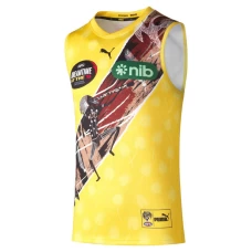 Richmond Tigers Mens Dreamtime Guernsey 2023