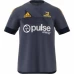 Highlanders Performance Tee 2020