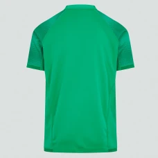 Ireland Men's Vapodri Home Pro Rugby Shirt 2022-23