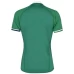 CCC British And Irish Lions Green Graphic Shirt 2020