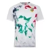 CCC British And Irish Lions White Graphic Shirt 2020