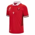 Wales Mens Home Rugby World Cup Shirt 2023