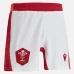 Welsh Home Rugby Shorts 2021-22