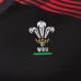 Welsh Rugby Pathway 2021 Away Shirt