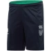 New Zealand Warriors 2020 Men's Vapodri Knit Gym Short