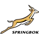 Springbok